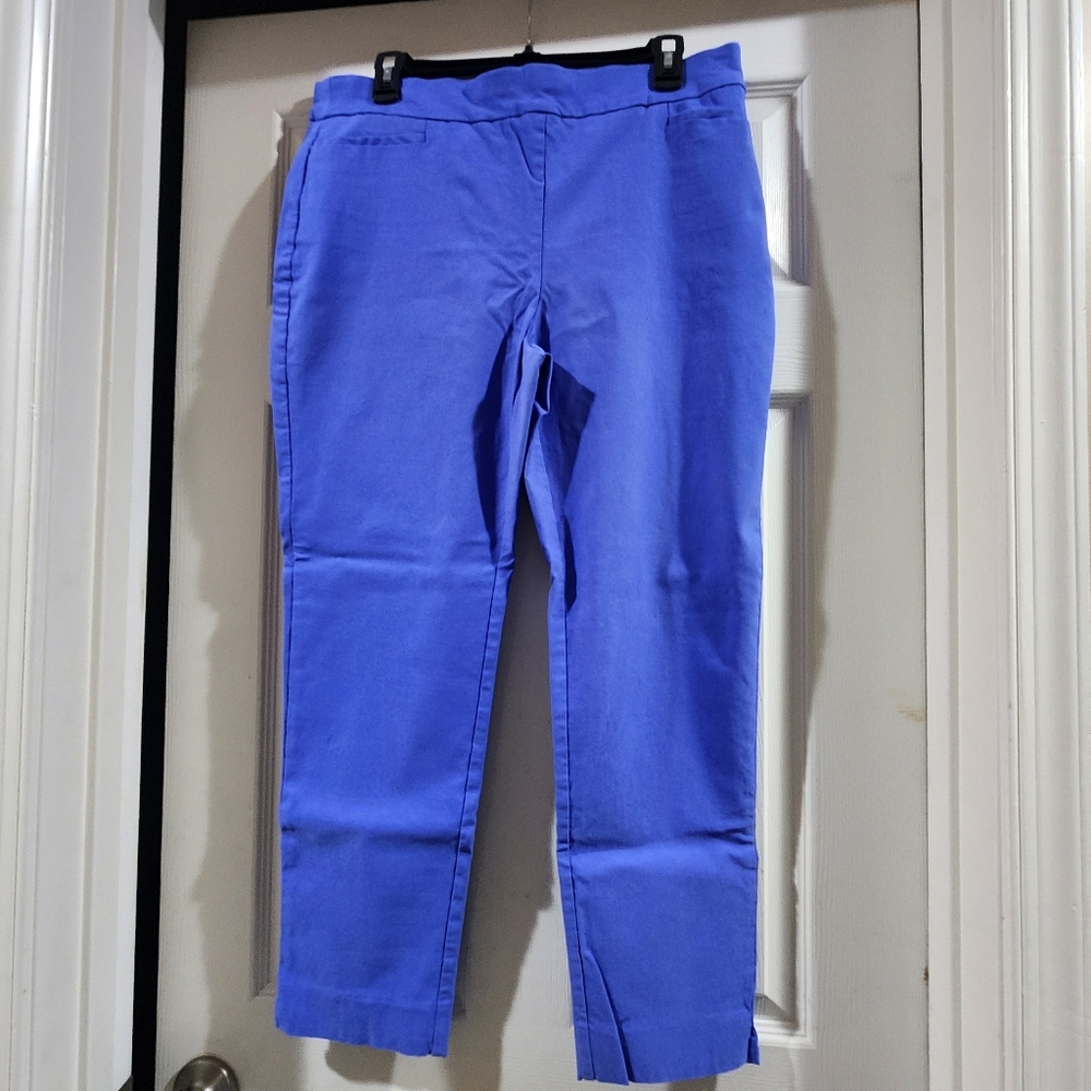 Chico's Royal Blue Garment